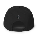 Snapback Hat Hidden Jiu Jitsu 2